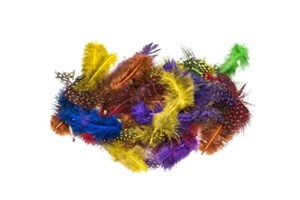 Obrazek Piórka nakrapiane mix 3g