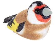 Książka : Maskotka S...