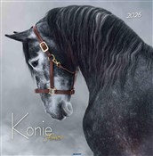 Kalendarz ... -  books from Poland