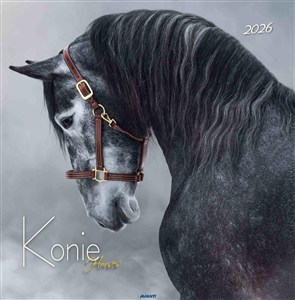 Obrazek Kalendarz 2026 ścienny Duży Konie KD-22