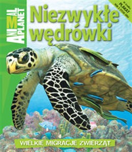 Picture of Niezwykłe wędrówki