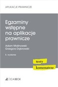 Polska książka : Egzaminy w... - Dąbrowski Grzegorz, Malinowski Adam