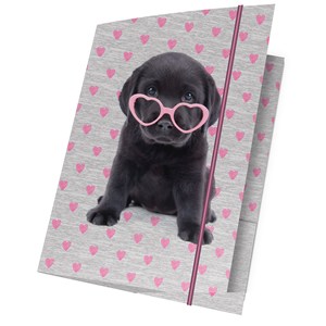 Picture of Teczka A4 z gumką studio pets ptb-109