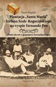 polish book : Plantacja ... - Paweł Oziębło