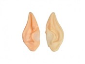 polish book : Uszy czaro...