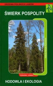 Obrazek Świerk pospolity Hodowla i ochrona