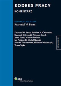 Obrazek Kodeks pracy Komentarz