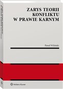 polish book : Zarys teor... - Paweł Wiliński