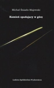 Picture of Kamień spadający w górę
