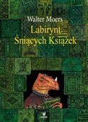 Książka : Labirynt Ś... - Walter Moers