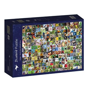 Picture of Puzzle 4000 Najpiękniejsze ptaki świata