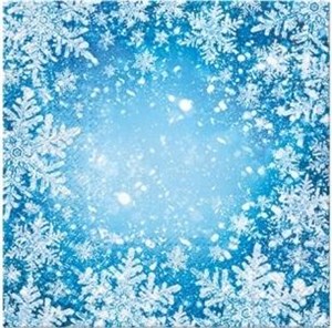 Picture of Serwetki Oszronione okno 33x33cm 20szt