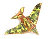 Książka : Latawiec s...