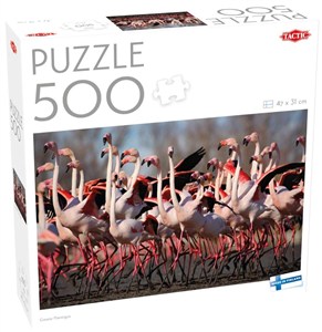 Obrazek Puzzle 500 Greater Flamingos