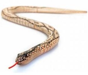 Picture of Wąż dewniany MIX