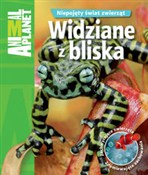 Widziane z... - Amanda Burdon -  Polish Bookstore 