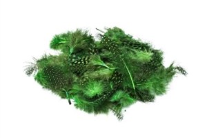 Picture of Piórka nakrapiane zielone 3g