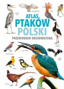 Atlas ptak... - Magdalena Janiszewska dr, Radosław Włodarczyk dr -  Książka z wysyłką do UK