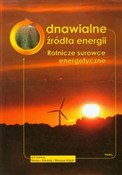 Odnawialne... -  books in polish 