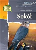 polish book : Sokół wyda... - Giovanni Boccaccio