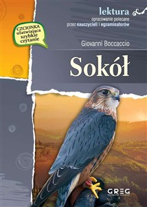 Obrazek Sokół wydanie z opracowaniem i streszczeniem