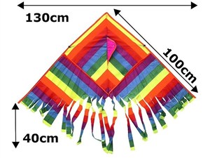 Obrazek Latawiec 130x100cm