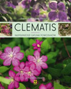 Picture of Clematis Najpiękniejsze gatunki powojników