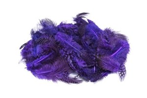 Obrazek Piórka nakrapiane fioletowy 3g