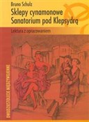 Sklepy cyn... - Bruno Schulz -  Polish Bookstore 