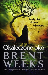 Obrazek Powiernik Światła Księga 3 Okaleczone oko