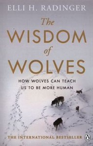 Picture of The Wisdom of Wolves