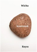 Kamionek - Marcin Wicha -  books from Poland