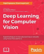 polish book : Deep Learn... - Shanmugamani Rajalingappaa