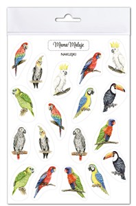 Obrazek Naklejki Papugi