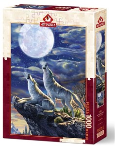 Picture of Puzzle 1000 Pełnia księżyca