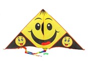 Polska książka : Latawiec 1...