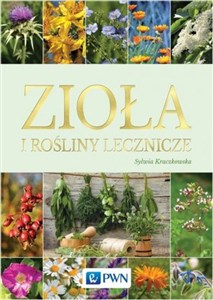 Obrazek Zioła i rośliny lecznicze