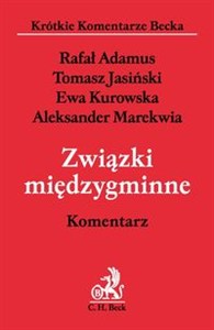 Obrazek Związki międzygminne Komentarz