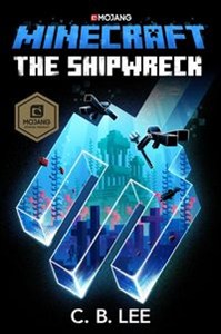 Obrazek Minecraft: The Shipwreck