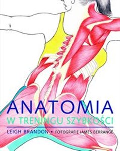 Picture of Anatomia w treningu szybkości