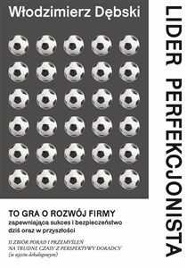 Obrazek Lider perfekcjonista