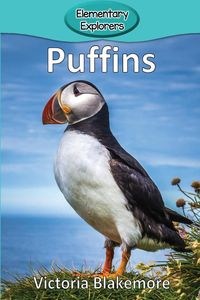 Obrazek Puffins