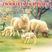 Zwierzęta ... - Opracowanie Zbiorowe -  Polish Bookstore 