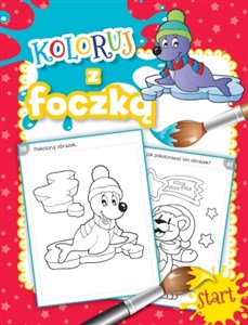 Picture of Koloruj z foczką