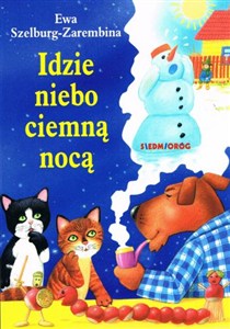 Obrazek Idzie niebo ciemną nocą