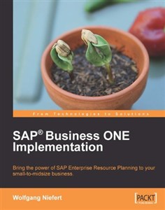 Picture of SAP Business ONE Implementation