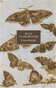 polish book : Czarodziej... - Jean Starobinski