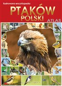 Książka : Ilustrowan... - Opracowanie Zbiorowe