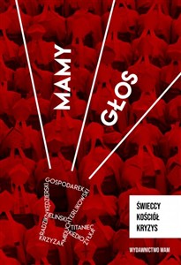 Obrazek Mamy głos Świeccy, Kościół, kryzys