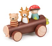 Książka : Leśna taks...